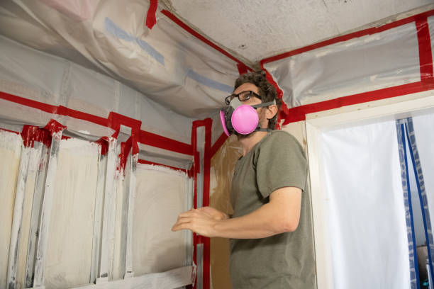 Best Biohazard Mold Removal  in Clinton, IL