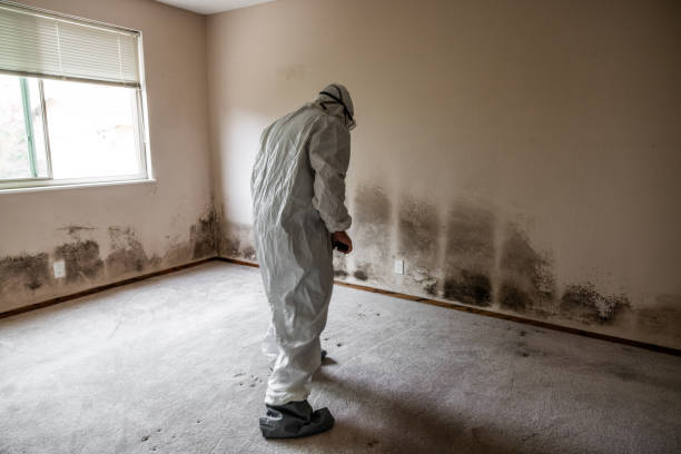 Best Residential Mold Inspection & Testing  in Clinton, IL